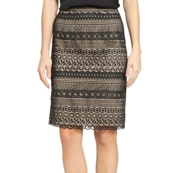Emerson Rose New Eyelet LACE Embroidered Pull On Pencil SKIRT Black Nude 🎉HP🎉 - Picture 2 of 5